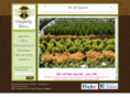 dragonflyfarmsnj.com