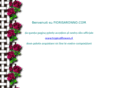 fiorisaronno.com