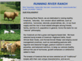runningriverranch.com