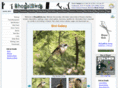 bhopalbirds.com