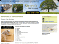 riverashandyman.com