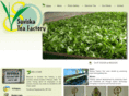 suviskatea.com