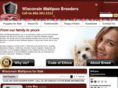 wisconsinmaltipoobreeders.com