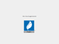 coseco.it