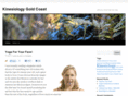 kinesiologygoldcoast.com