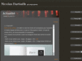 nicolas-dartiailh.com