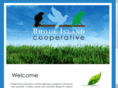 ricooperative.org