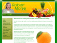 robertmorsend.com