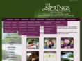 thespringsfuneralservices.com