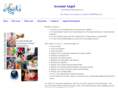 accountangel.net