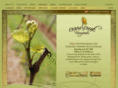 cranecreekvineyards.com