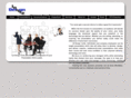 design-insite.com