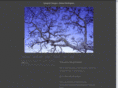 integralimages.com