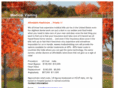medicalvisiting.com