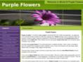 purpleflowers-cs.com