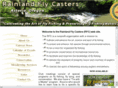 rainlandflycasters.com