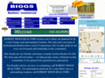 robertbiggsrealtors.com
