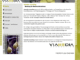 viamedia-consulting.com