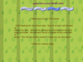 brownietroop2291.com