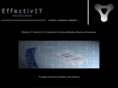 effectivit.net