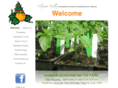cvpumpkinfarm.com