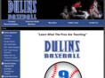 dulinsbaseball.com