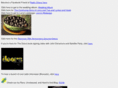 larrysinger.com
