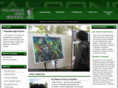phsfalcons.org