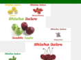 shishajuice.com