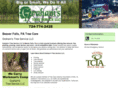treeservicebeaverpa.com
