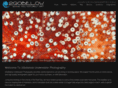 2gobelow.com
