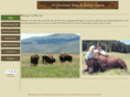 himountainoutfitting.com