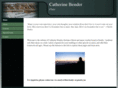 seattleflute.com