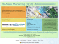 shankolmarketing.com