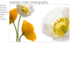 andreasreiter.com