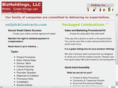 bizholdingsllc.com
