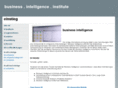 business-intelligence-institute.org