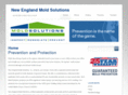 moldnewengland.com