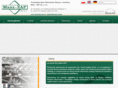 maszzap.com.pl