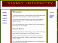 binaryuniversity.com