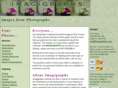 imagigraphs.com