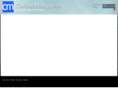 carmelminoguecpa.com