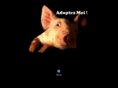 cochonvirtuel.com