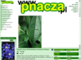 pnacza.pl