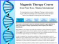 petermagneticcourses.com