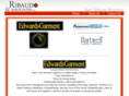 ribaudoandassociates.com