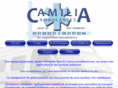 camilia-ambulance.com