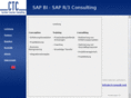 ctconsult.net