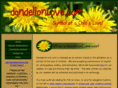 dandelionsforsarah.com
