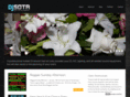 djsota.com